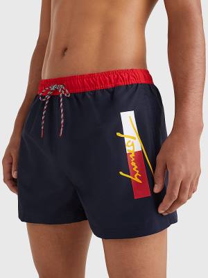 Men's Tommy Hilfiger Colour-Blocked Short Length Shorts Swimwear Blue | TH137PYS