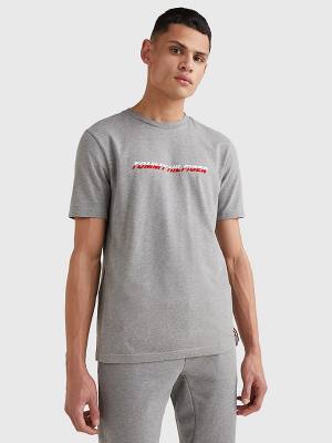 Men's Tommy Hilfiger Sport TH Cool Graphic T Shirts Grey | TH379LQX