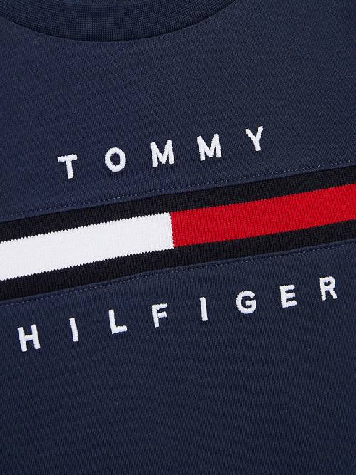 Boys' Tommy Hilfiger Flag Rib Insert T Shirts Blue | TH265EBL