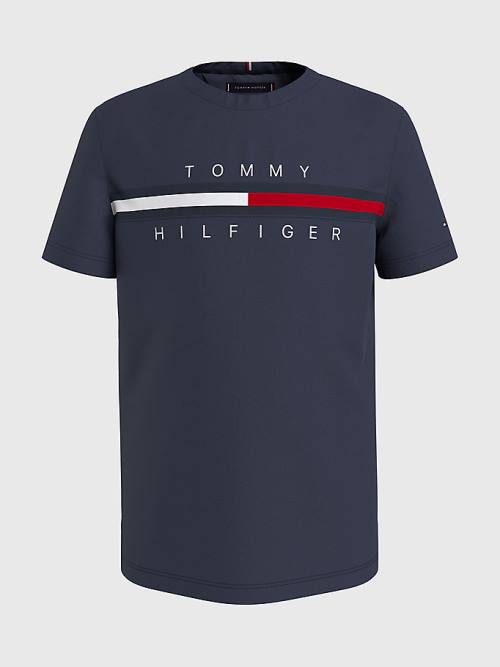 Boys\' Tommy Hilfiger Flag Rib Insert T Shirts Blue | TH265EBL